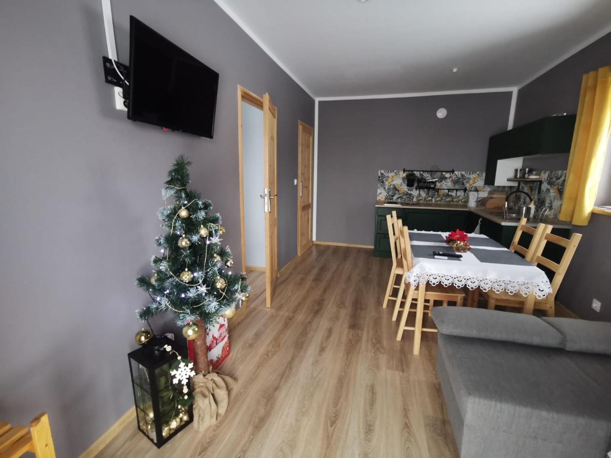 Apartment Z Widokiem Radkow